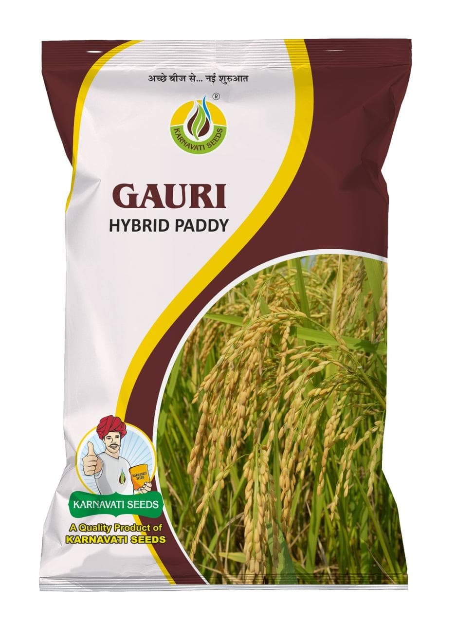 Gauri