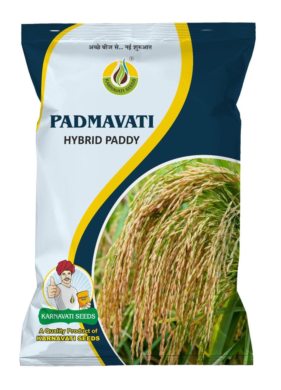 Padmavati